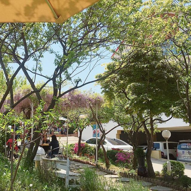 주말 나들이 겸 산책하고 커피까지 완벽코스 복사꽃피는집🌺