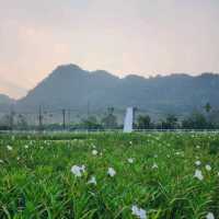 ที่พักสวยราคาหลักร้อย