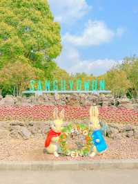 튤립 축제가 열리고 있는, 제주 상효원🌷
