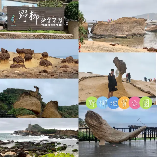 野柳地質公園-台灣擁有極多奇岩美石的地質公園