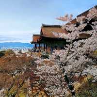 Kiyomizu-dera, Kyoto in Spring! 🌸🍀🌿🌱