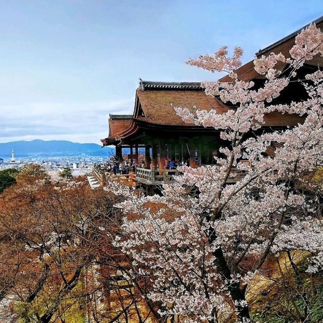 Kiyomizu-dera, Kyoto in Spring! 🌸🍀🌿🌱