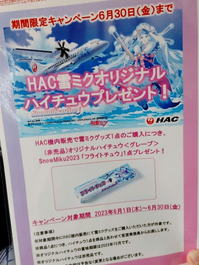 札幌丘珠空港