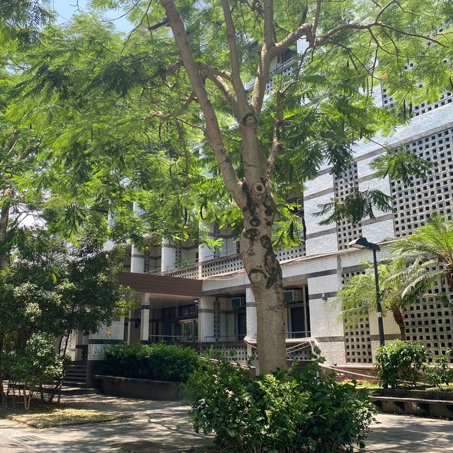 宜蘭大學🌳