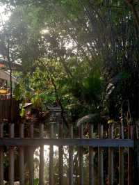 Hidden Oasis in Bangkok - Poomjai Garden