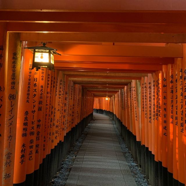 伏見稲荷千本鳥居を四ツ辻まで散歩