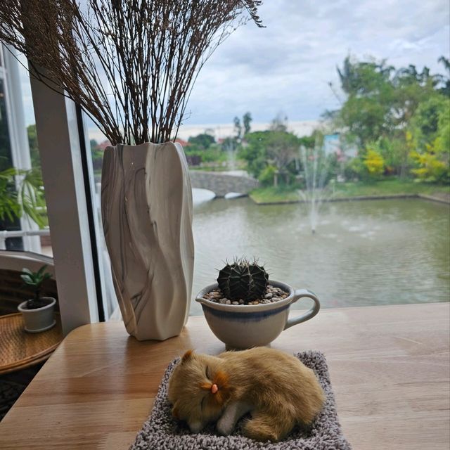 มีคุณ คาฟ่ บรรยากาศฟัาหลังฝน สวยสดชื่นมากๆ