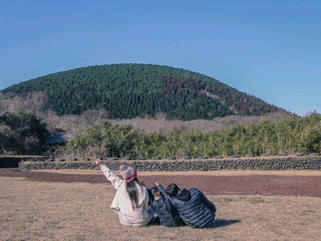 제주도의 돌을 살펴보고 만져볼 수 있는, 제주돌문화공원