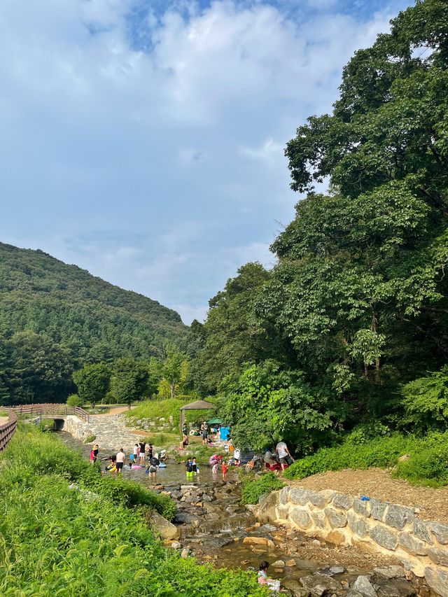 서울 근교 군포에 계곡이 있었다고 ? 🌊