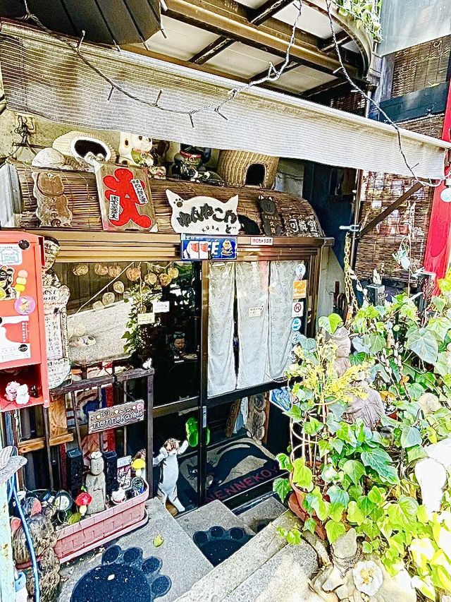 【東京都/ねんねこ神社】谷中にある猫だらけの神社