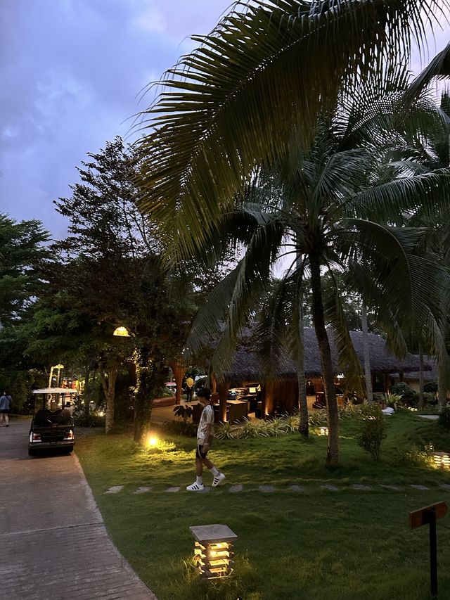 The Island Life 😍⛱️🌴👙🌊🇻🇳