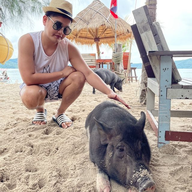 เกาะมัดสุม หรือ "เกาะหมูเมืองไทย” 