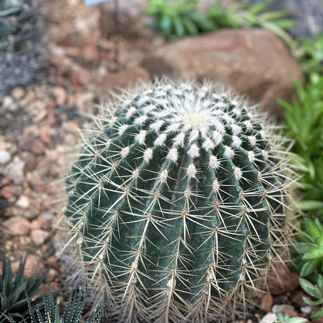 台北圓山站休閑一日遊🌿🌵適合夏日親子遊
