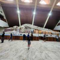 KK children friendly free and easy trip
