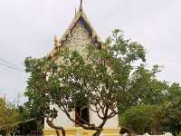 Wat Pa Pradu