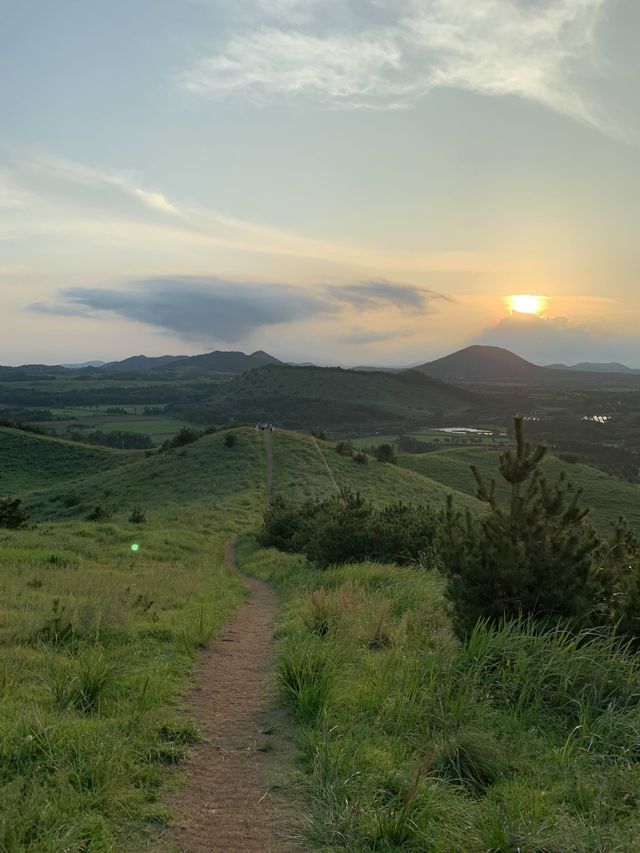 제주 노을맛집 용눈이오름🌳⛰️
