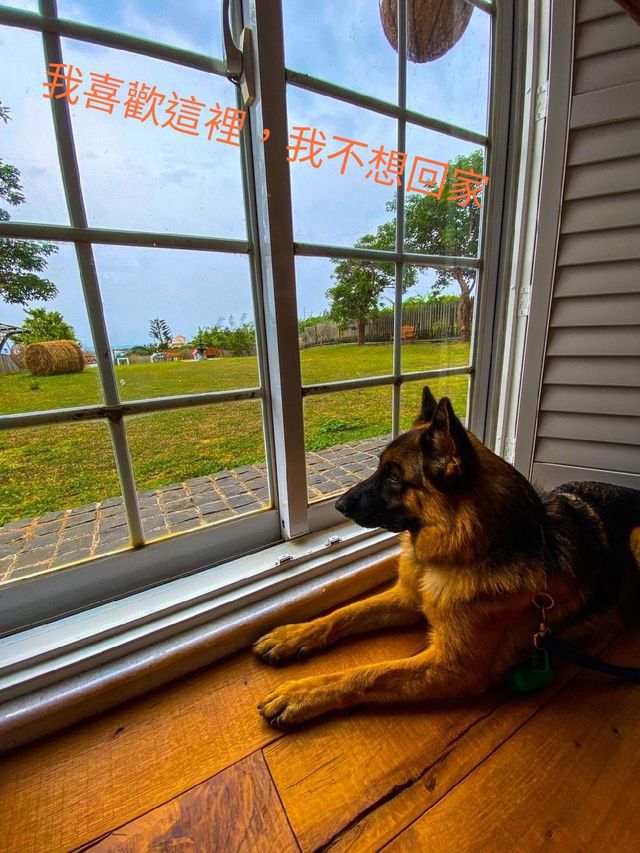 Wow!墾丁居然有這麼棒的歐風友善寵物莊園！