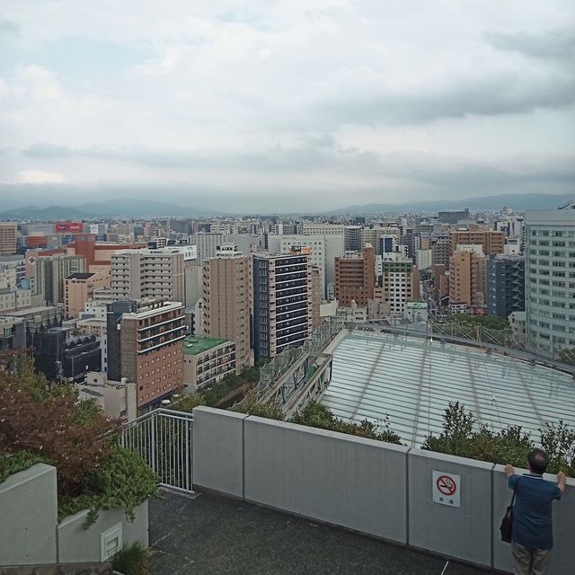 天神中央公園：城市綠洲放鬆身心！🌳🌷🏞️