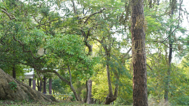 🏞️ 高雄澄清湖一日遊 🗺️