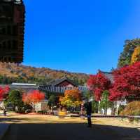 Beautiful autumn view of Odaesan NationalPark