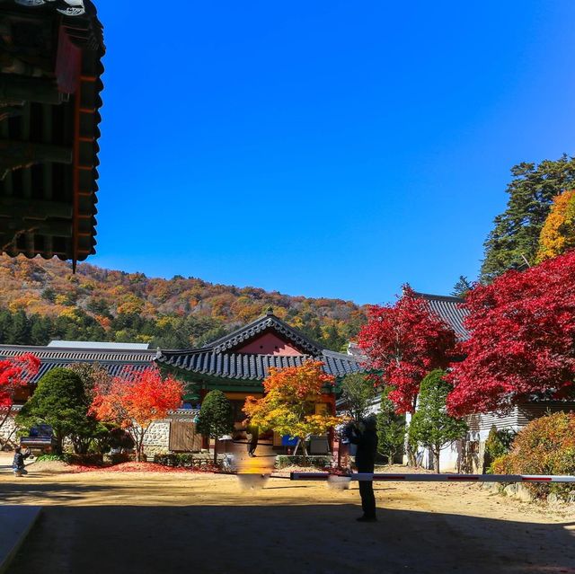 Beautiful autumn view of Odaesan NationalPark
