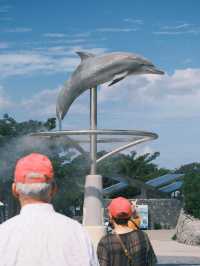 日本｜第一次來沖繩必到訪的美麗海水族館🪸