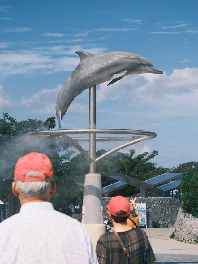 日本｜第一次來沖繩必到訪的美麗海水族館🪸
