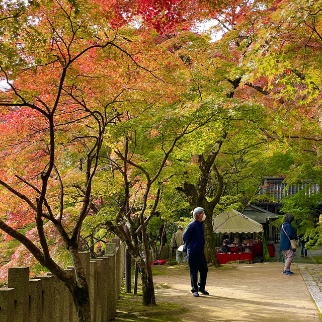 Autumn Splendor at Eigen-ji Temple