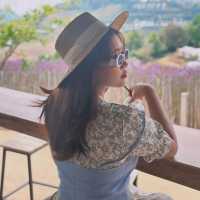 3 days 2 Nights in Chiangmai