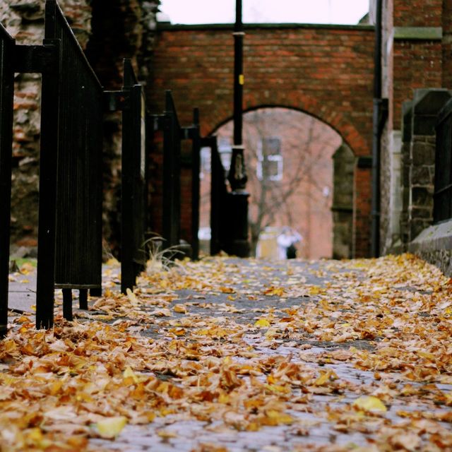 strolling around in Leicester Garden