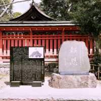 Exploring Nikko World Heritage in Japan