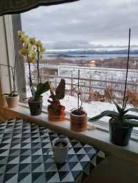 Awesome guesthouse to catch Aurora