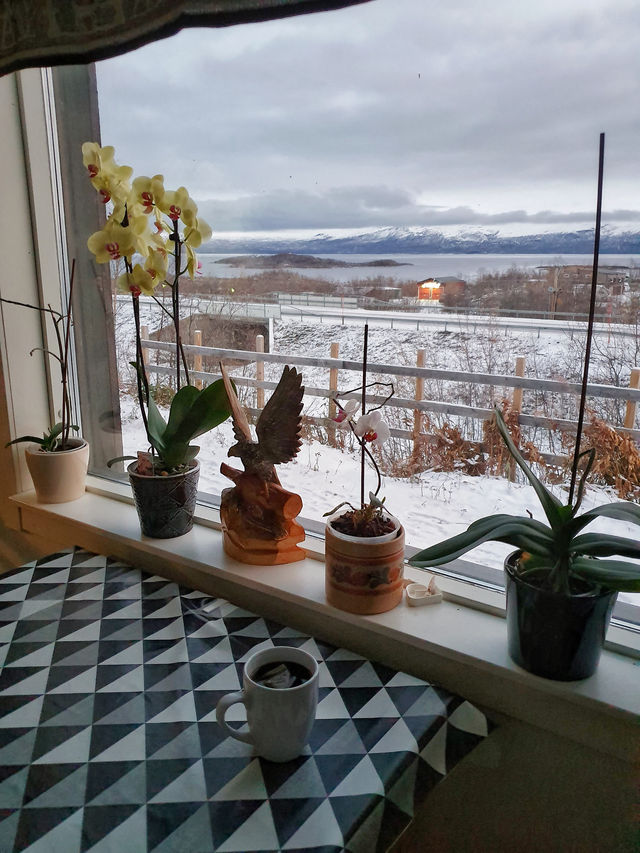 Awesome guesthouse to catch Aurora
