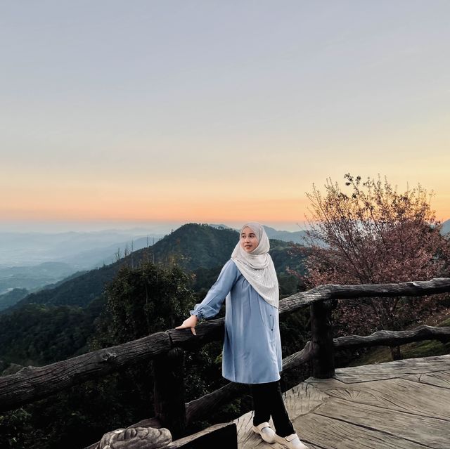 ลานกางเต้นท์ จุดชมวิวม่อนสน ดอยอ่างขาง