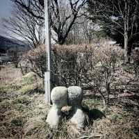 Art Museum in Shiga Kogen