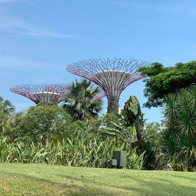 Gardens by the Bay