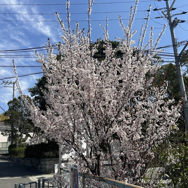 大阪南部城市 - 和泉