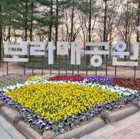 🌸보라매공원 벚꽃터널🌸
