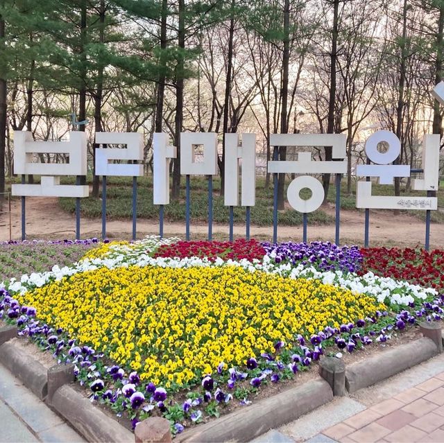 🌸보라매공원 벚꽃터널🌸