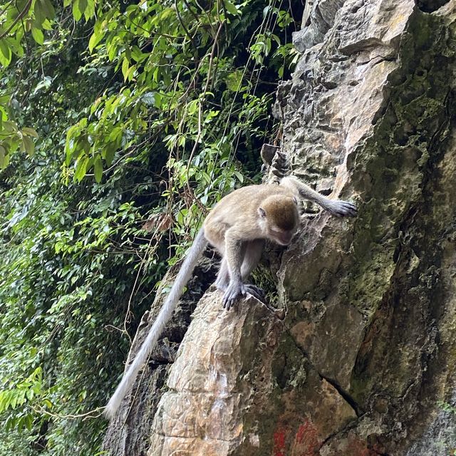 Discovering the Magic of Batu Cave!