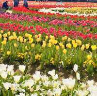 Spring Time