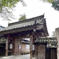 【奈良】桜の名所吉野山