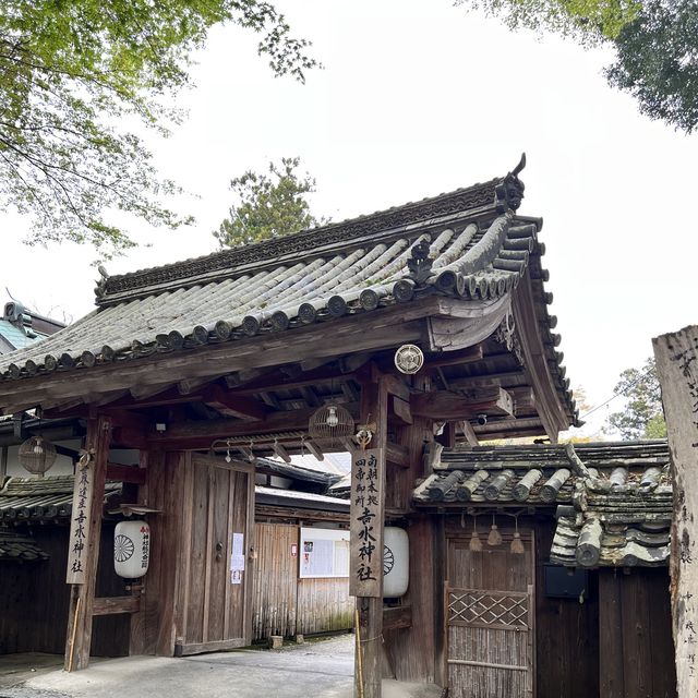 【奈良】桜の名所吉野山