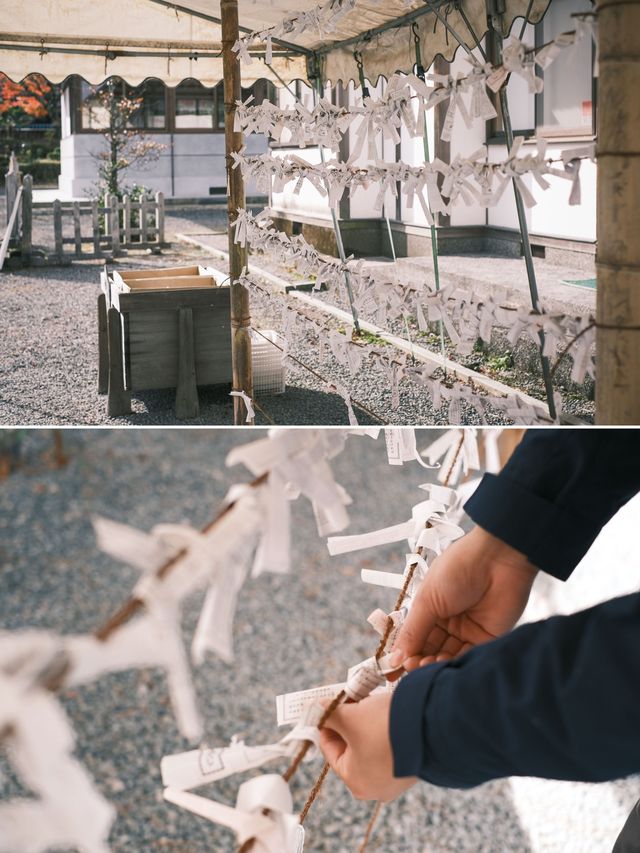 日本九州 | 探訪古老的阿蘇神社⛩️