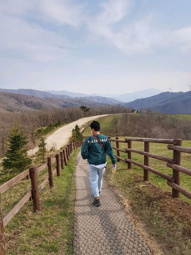 바람이 어마무시! 평창 대관령 삼양목장🐏