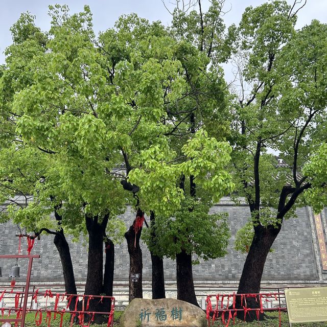在「粵暉園」挖掘嶺南歷史文化