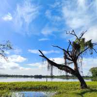 Kinta Nature Park