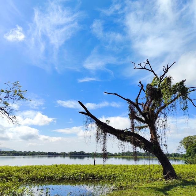 Kinta Nature Park