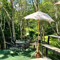 A Cafe and Restuarant in the Forest