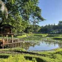 Four Seasons Resort เชียงใหม่ ที่พักสำหรับครอบครัว